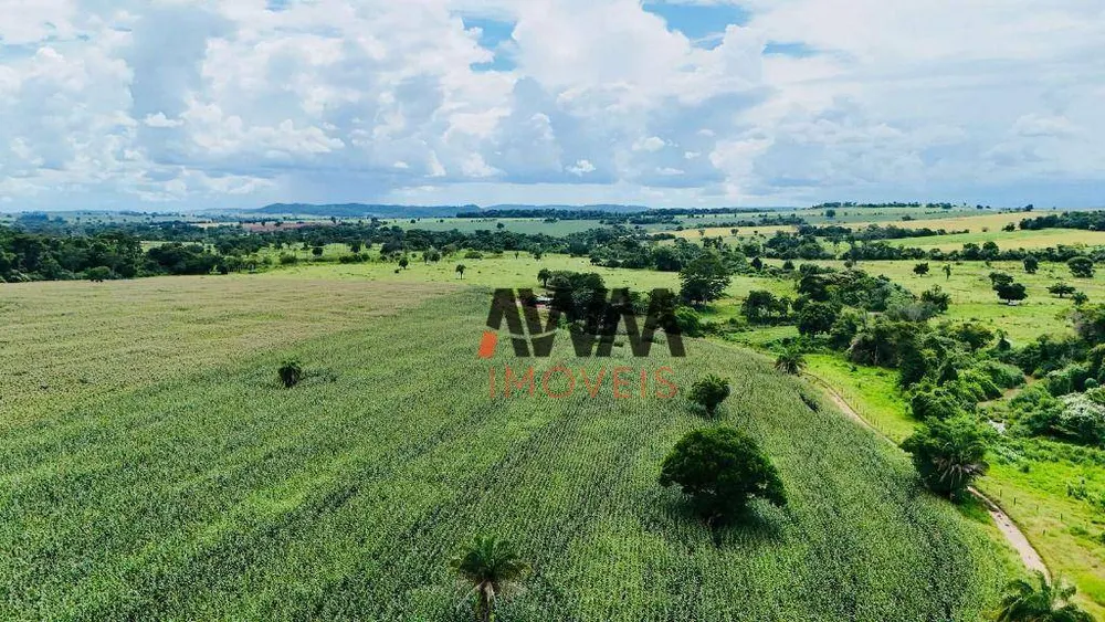 Fazenda, 97 hectares - Foto 2