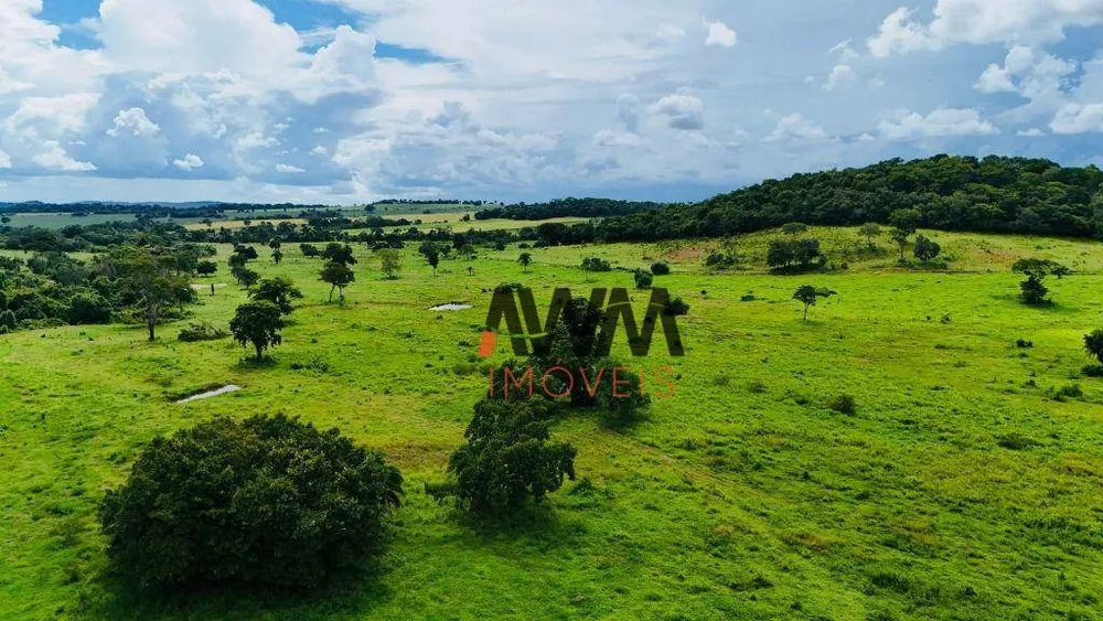 Fazenda, 97 hectares - Foto 6