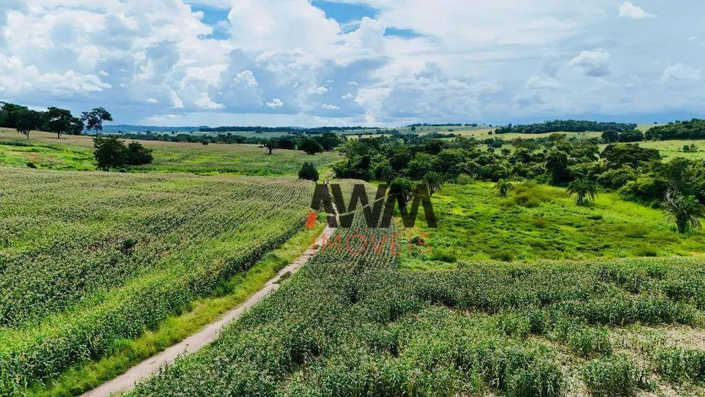 Fazenda, 97 hectares - Foto 4