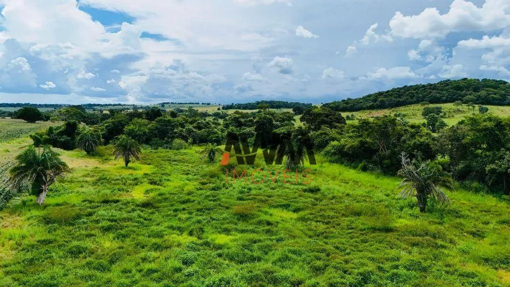 Fazenda, 97 hectares - Foto 3