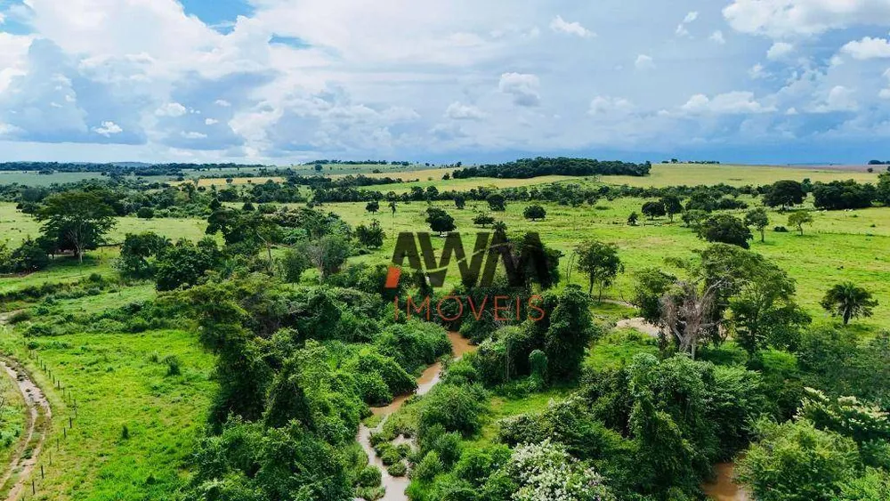 Fazenda, 97 hectares - Foto 9