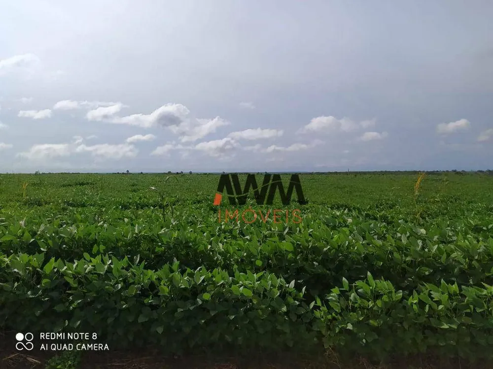 Fazenda, 2892 hectares - Foto 6