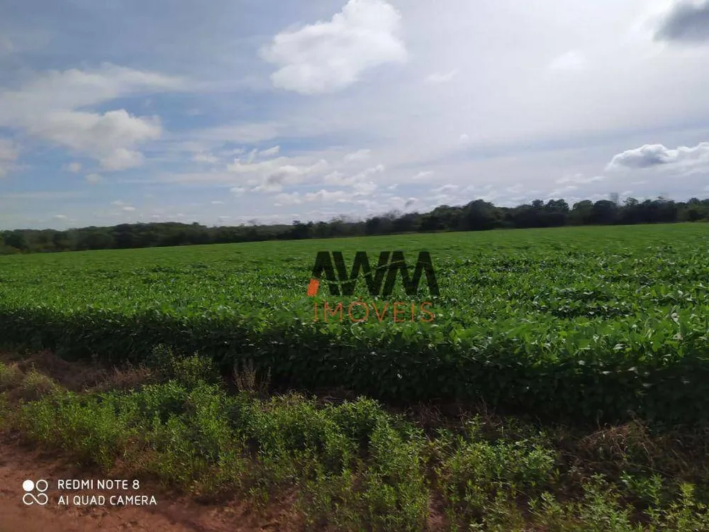 Fazenda, 2892 hectares - Foto 4