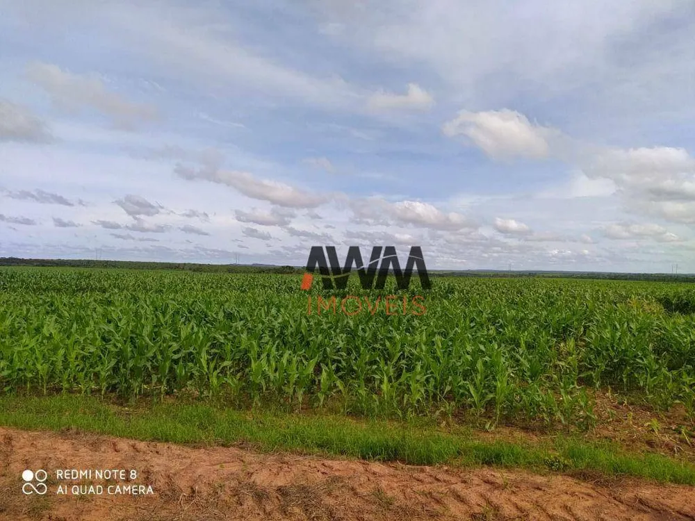 Fazenda, 2892 hectares - Foto 1