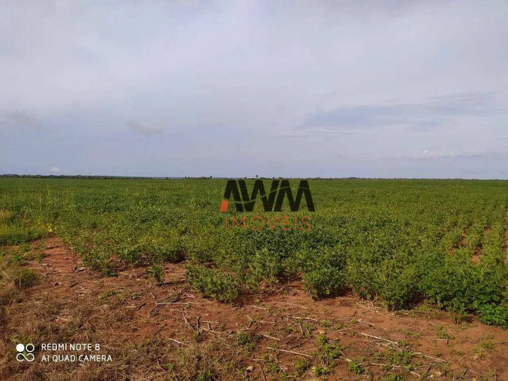 Fazenda, 2892 hectares - Foto 7
