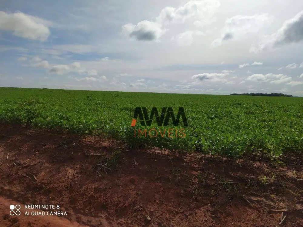 Fazenda, 2892 hectares - Foto 3
