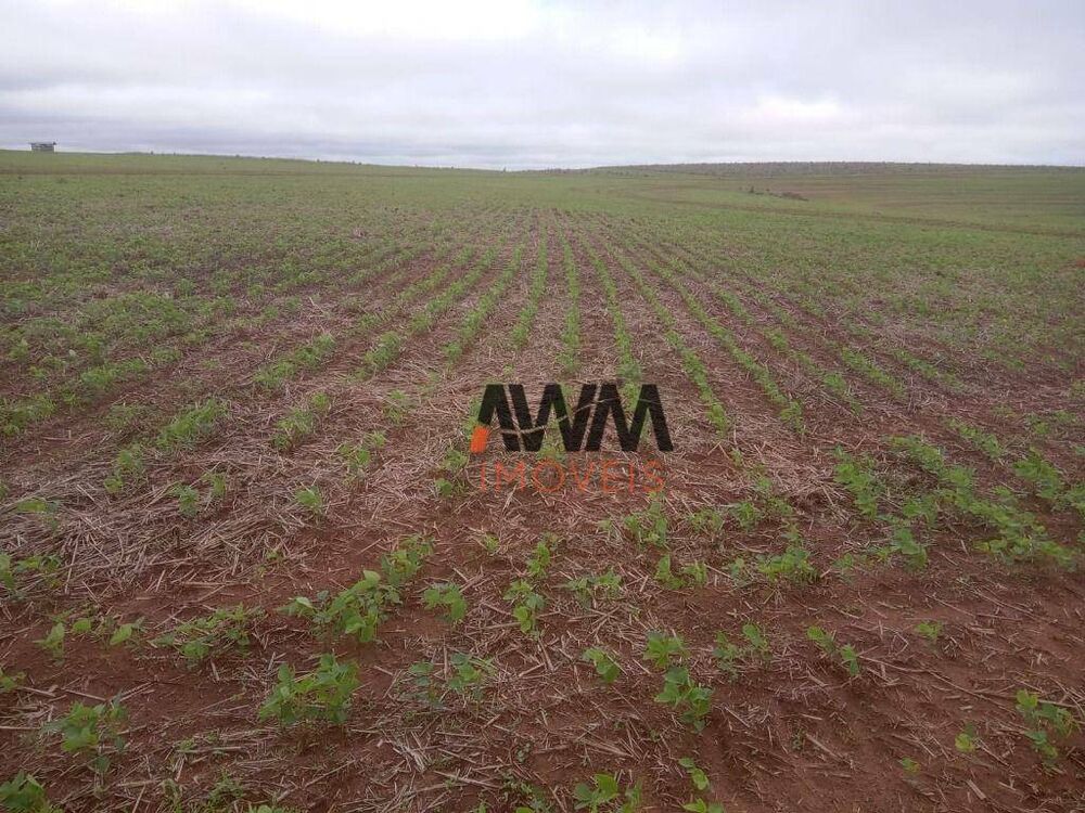 Fazenda à venda, 79820000M2 - Foto 3
