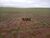 Fazenda, 7982 hectares - Foto 3
