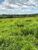 Fazenda, 5169 hectares - Foto 3