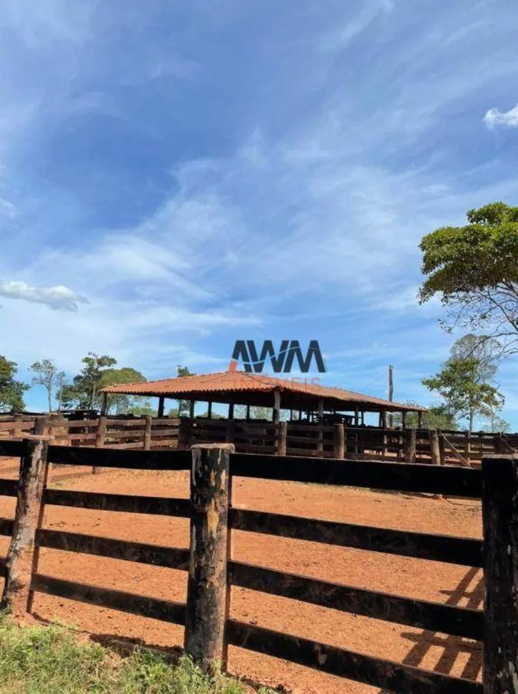 Fazenda, 8596 hectares - Foto 7