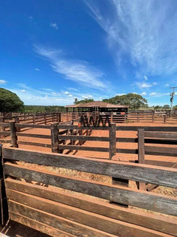 Fazenda, 8596 hectares - Foto 4