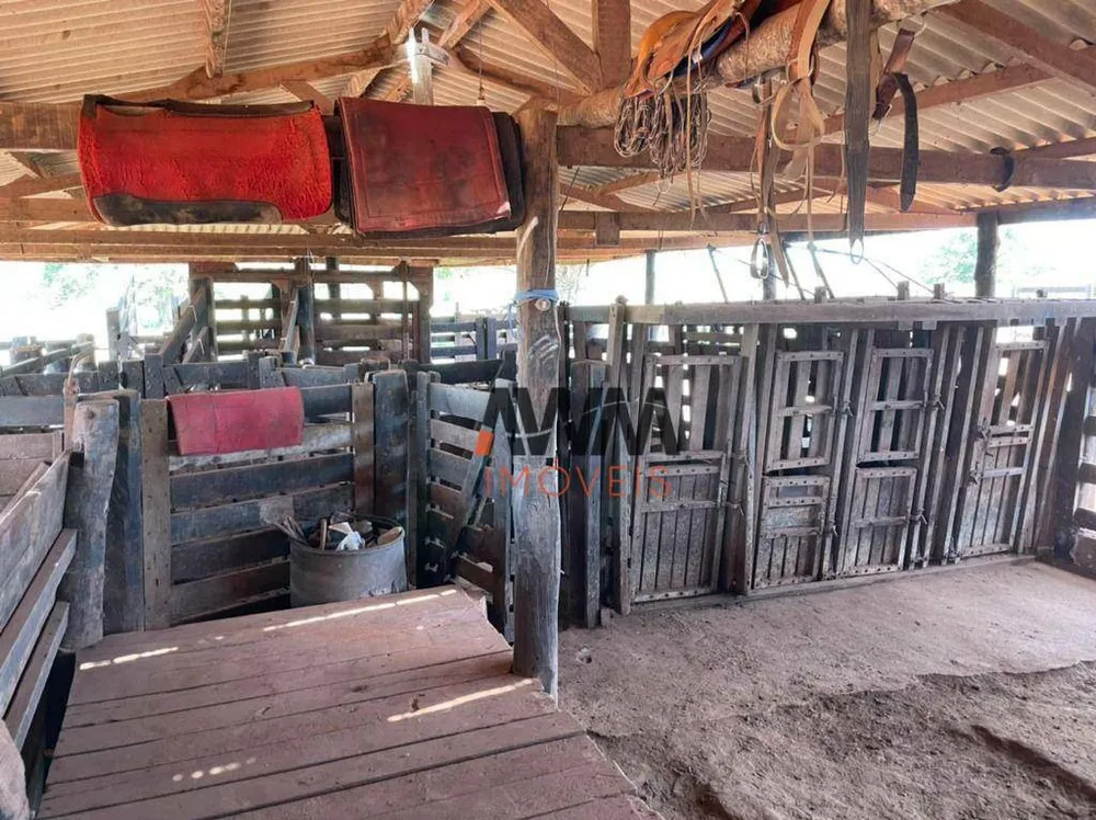 Fazenda, 8596 hectares - Foto 12