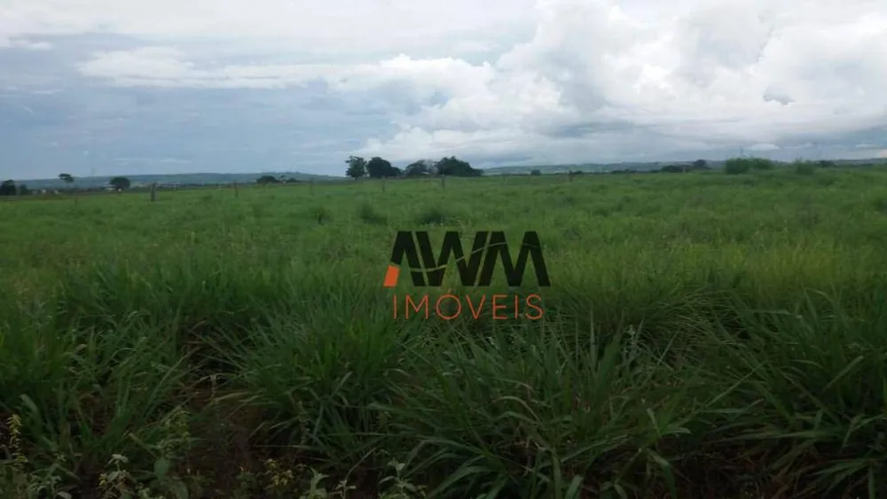 Fazenda, 8596 hectares - Foto 13
