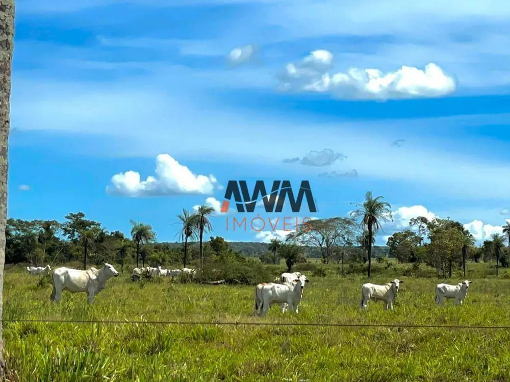 Fazenda, 8596 hectares - Foto 11