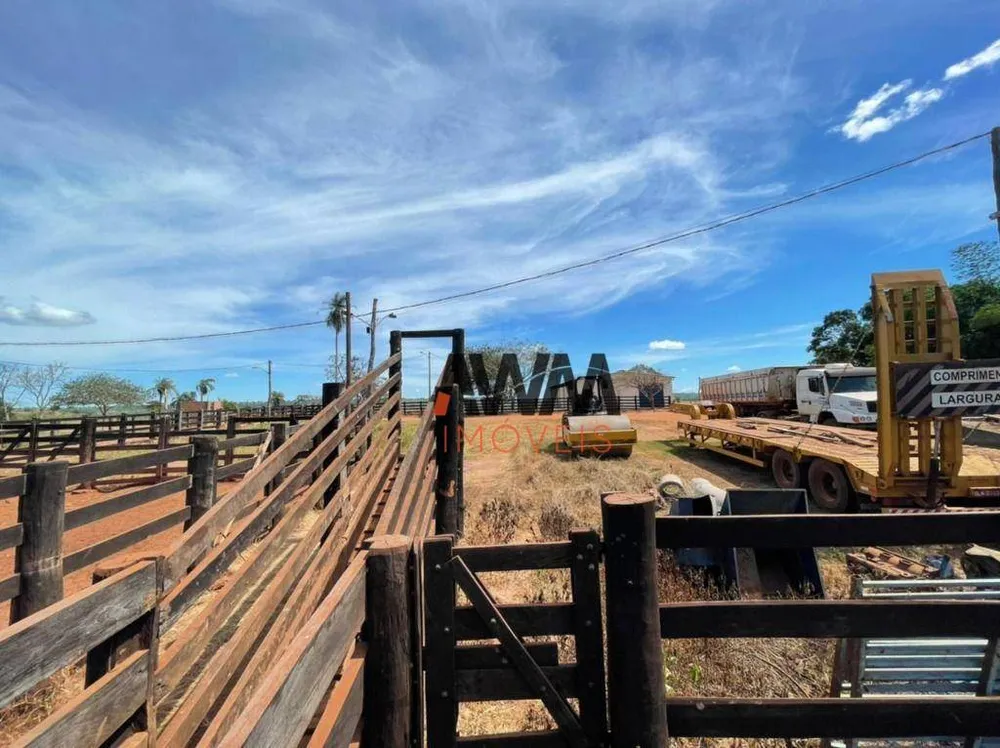 Fazenda, 8596 hectares - Foto 8