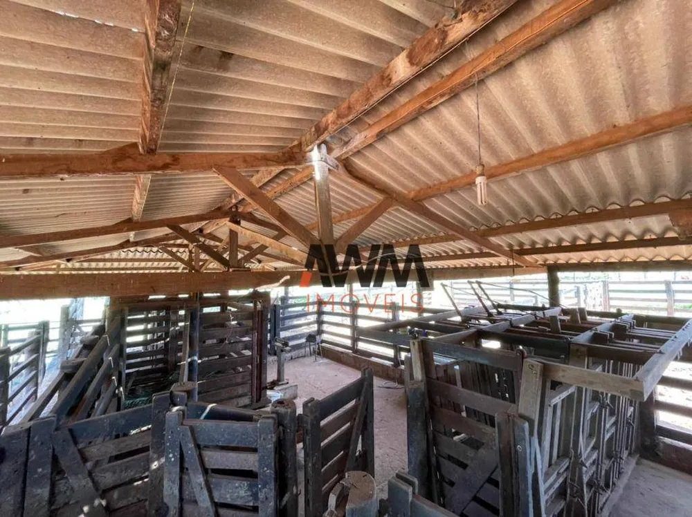 Fazenda, 8596 hectares - Foto 9