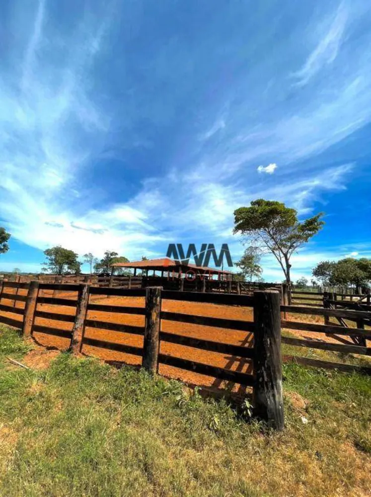 Fazenda, 8596 hectares - Foto 10