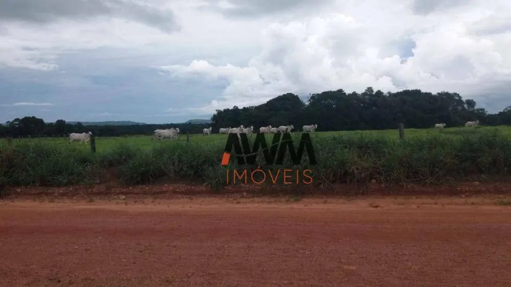 Fazenda, 8596 hectares - Foto 2