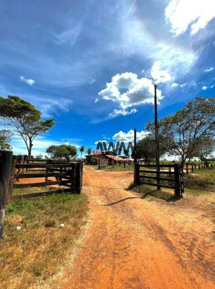 Fazenda, 8596 hectares - Foto 15