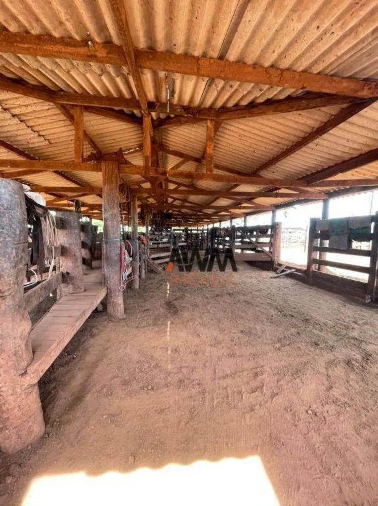 Fazenda, 8596 hectares - Foto 14