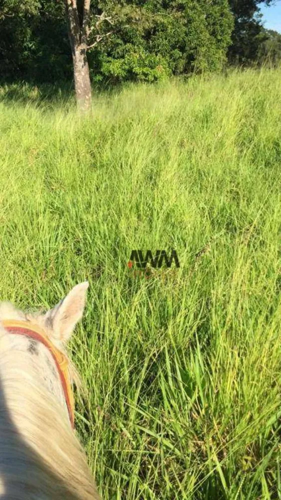 Fazenda, 484 hectares - Foto 12
