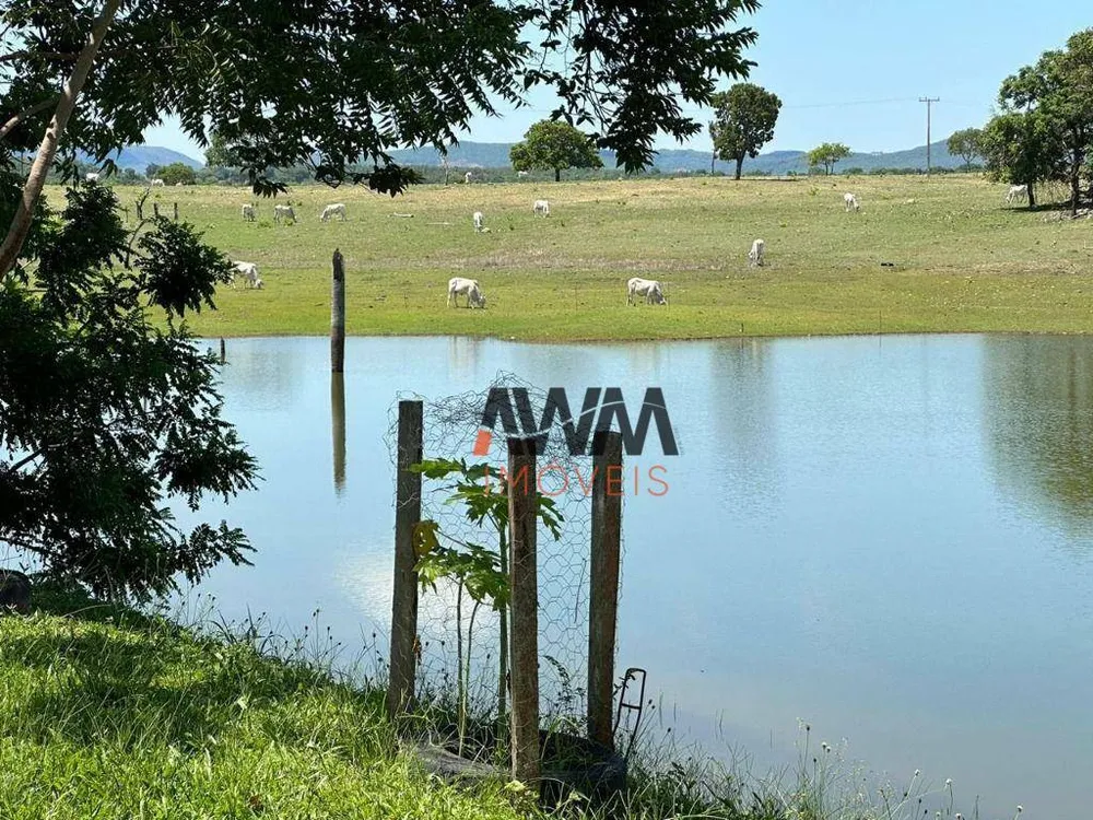 Fazenda, 484 hectares - Foto 9