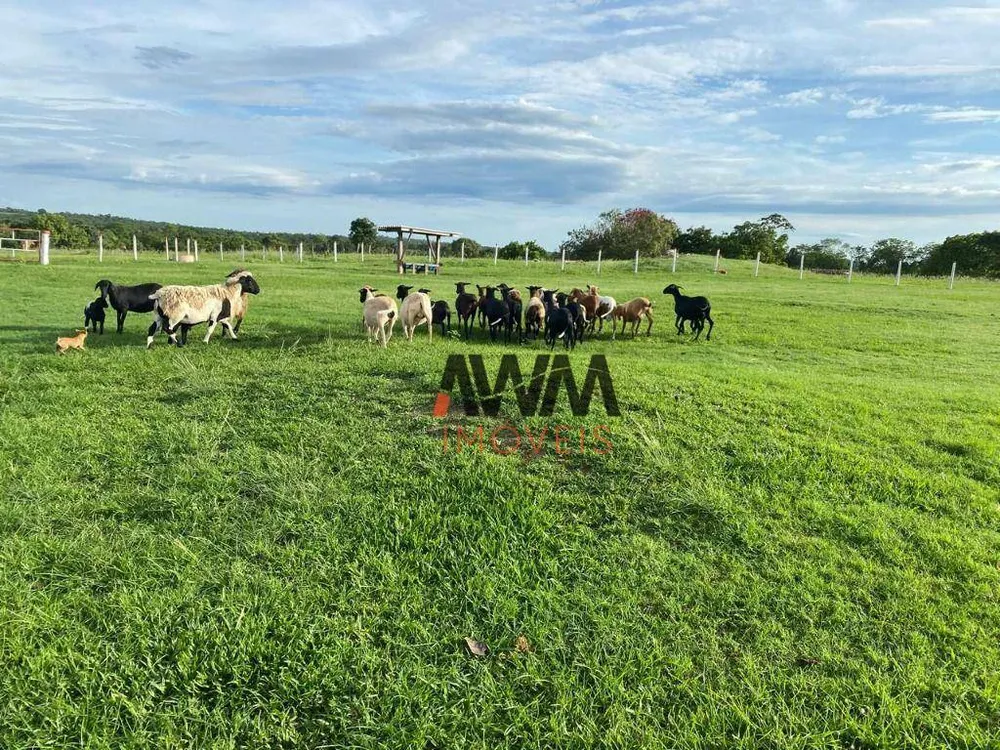 Fazenda, 484 hectares - Foto 2