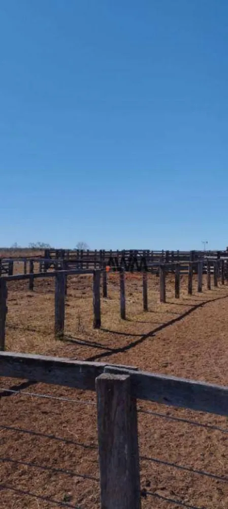Fazenda, 1157 hectares - Foto 9