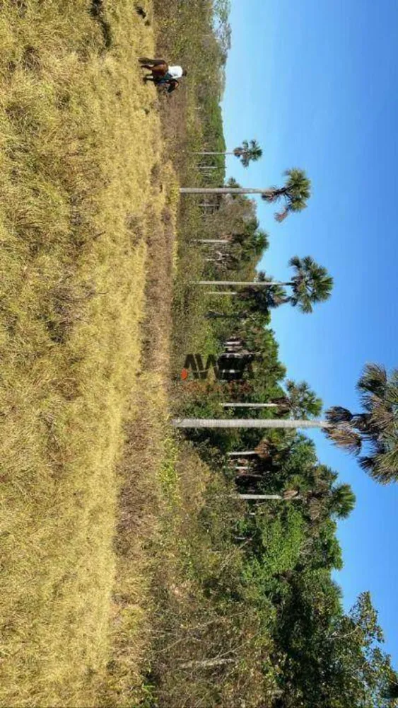 Fazenda, 1157 hectares - Foto 8
