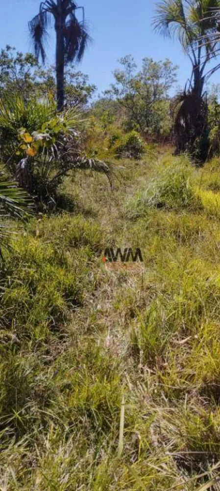 Fazenda, 1157 hectares - Foto 4