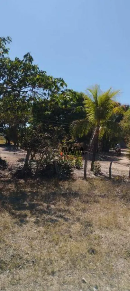 Fazenda, 1157 hectares - Foto 6