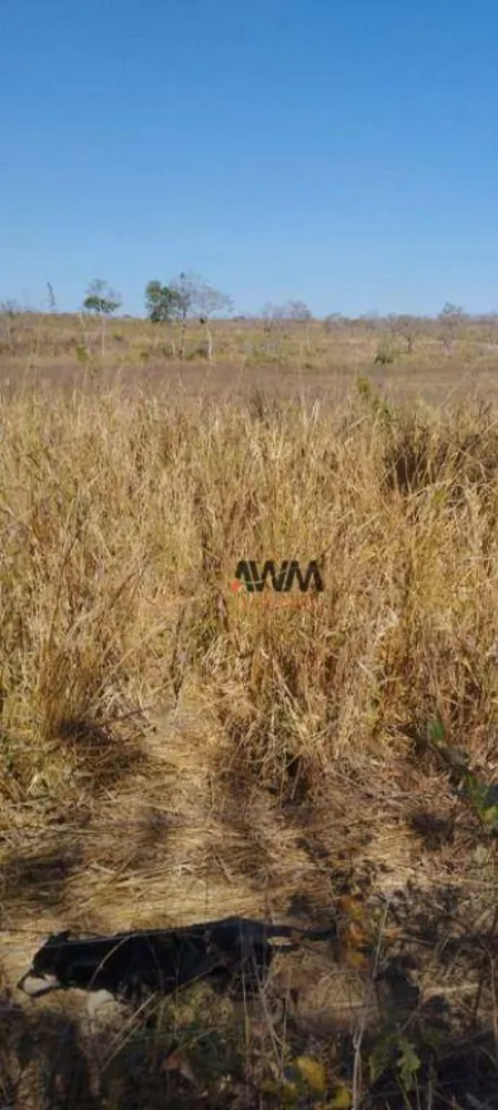 Fazenda, 1157 hectares - Foto 11