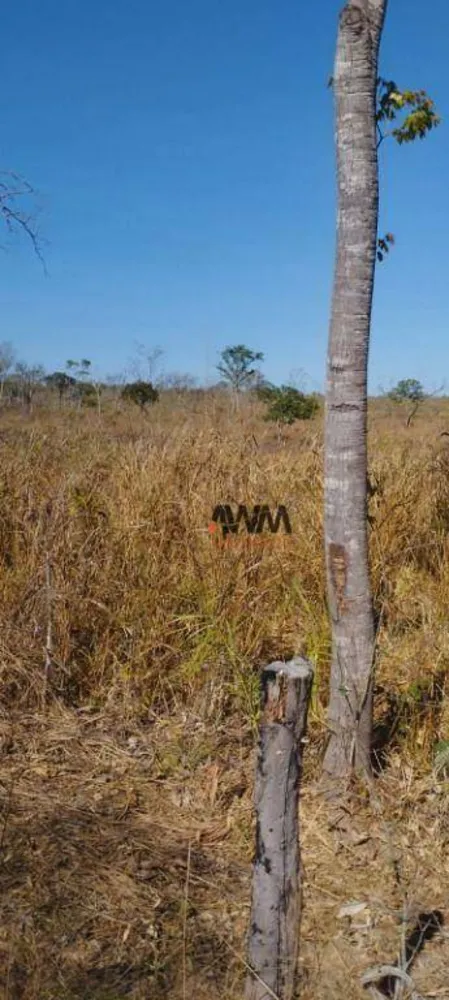 Fazenda, 1157 hectares - Foto 1