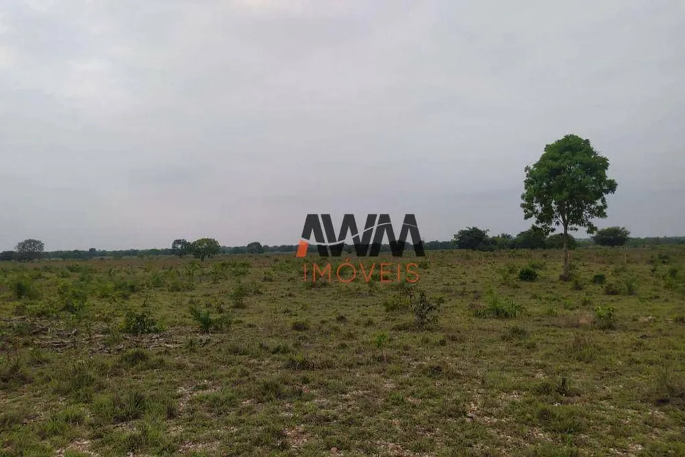 Fazenda, 687 hectares - Foto 4