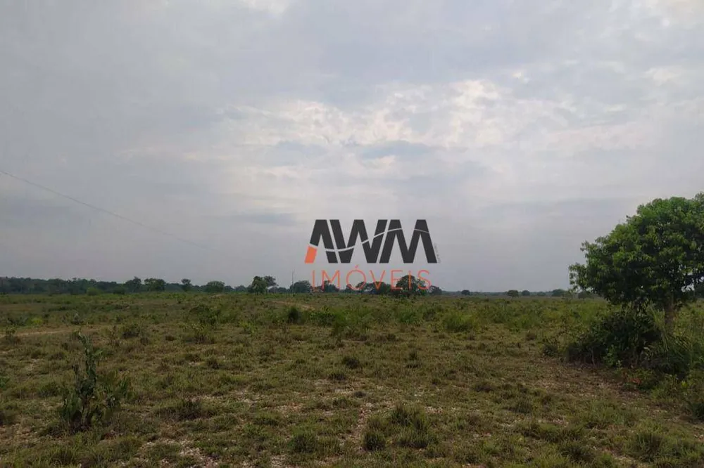 Fazenda, 687 hectares - Foto 10