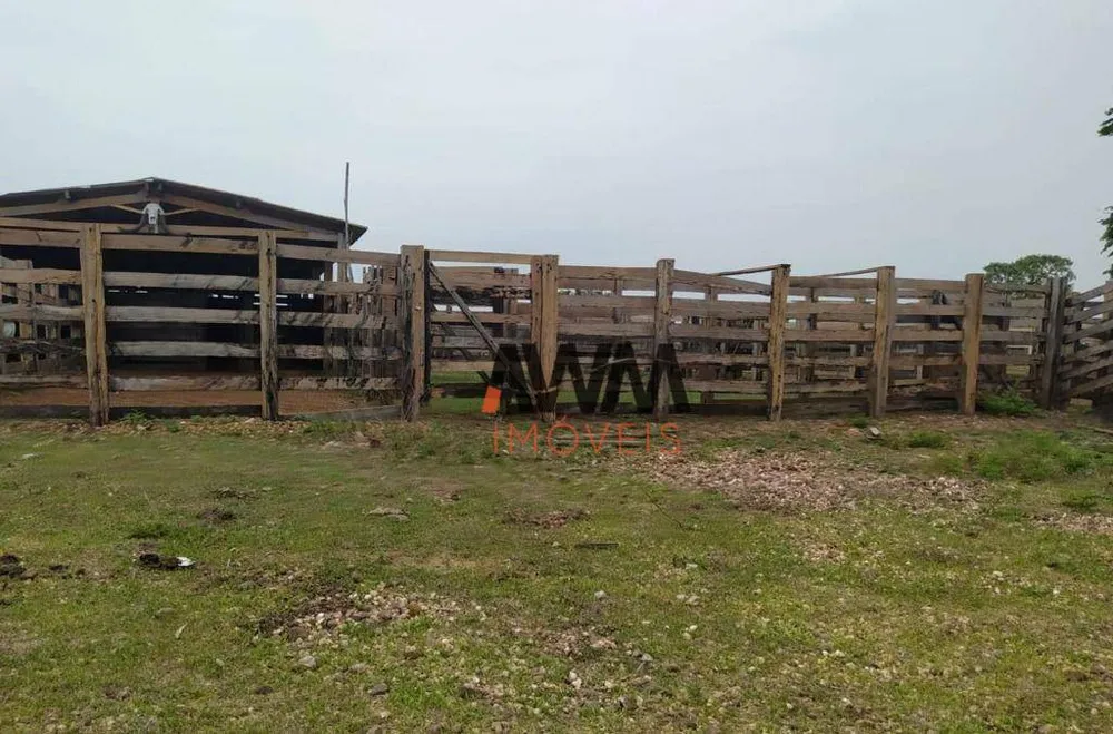 Fazenda, 687 hectares - Foto 1