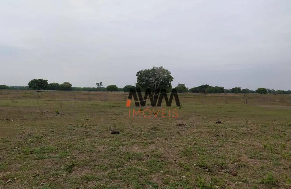 Fazenda, 687 hectares - Foto 7