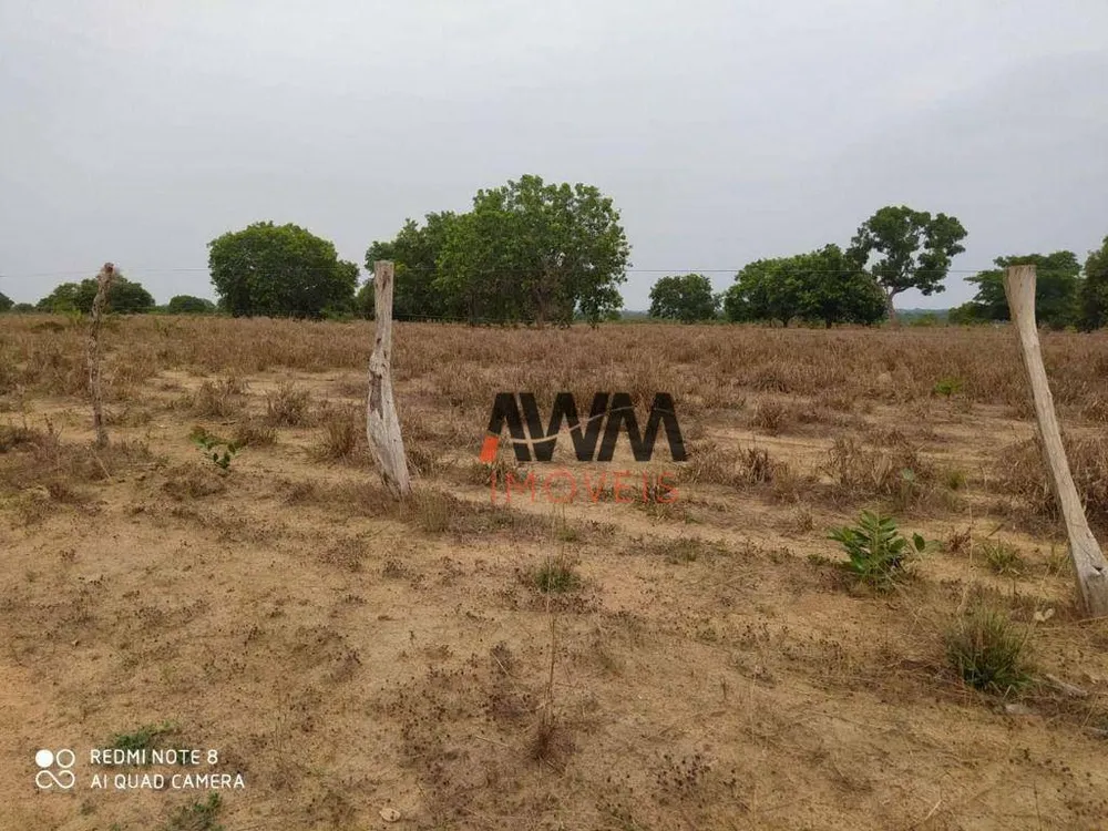 Fazenda, 687 hectares - Foto 8