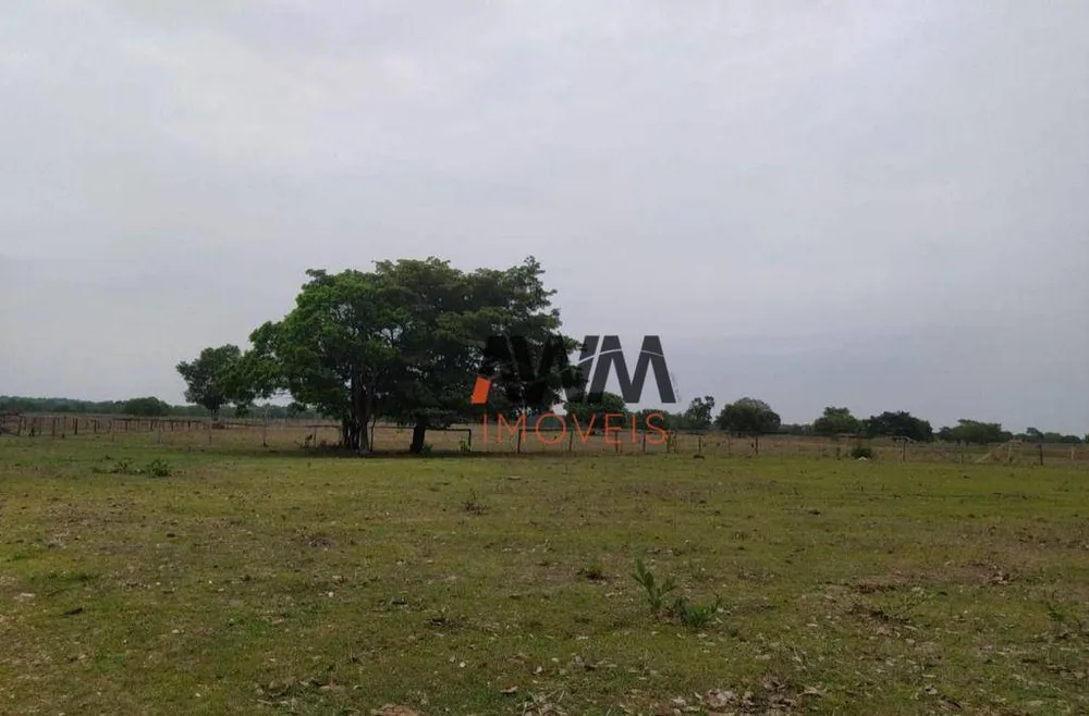 Fazenda, 687 hectares - Foto 2