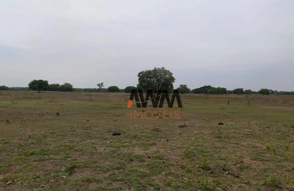Fazenda, 687 hectares - Foto 9