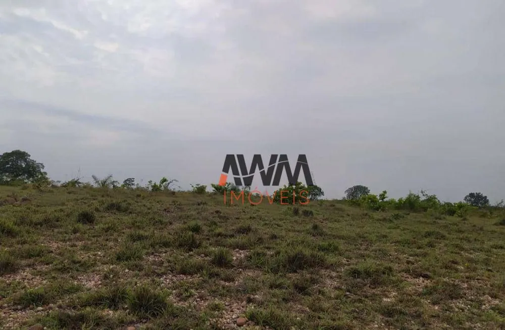 Fazenda, 687 hectares - Foto 6