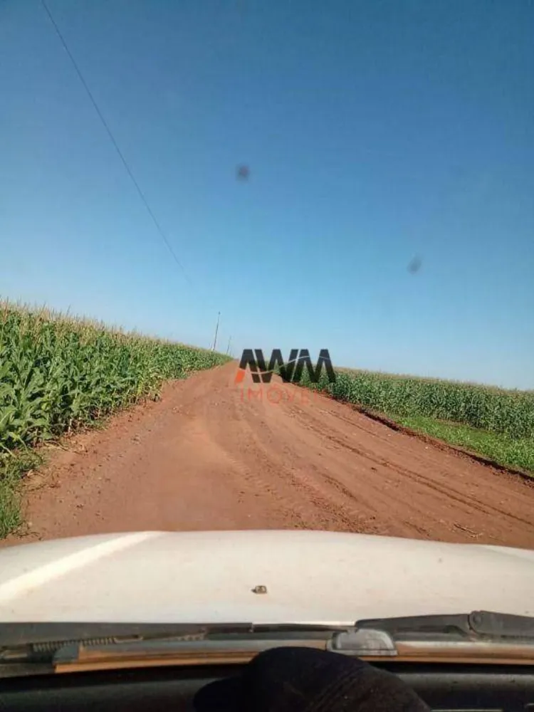 Fazenda, 4773 hectares - Foto 3