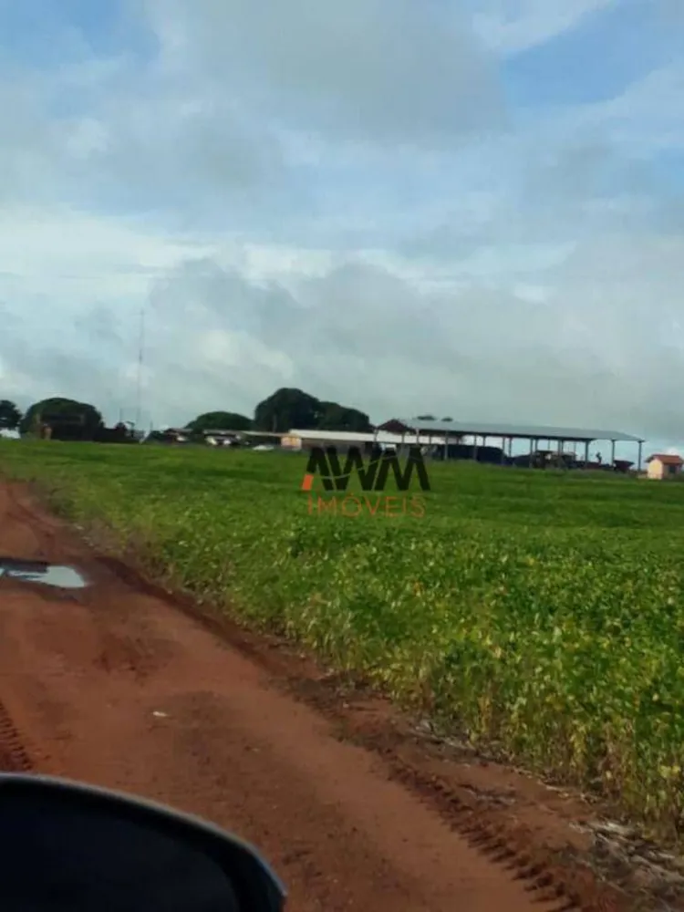 Fazenda, 4773 hectares - Foto 7
