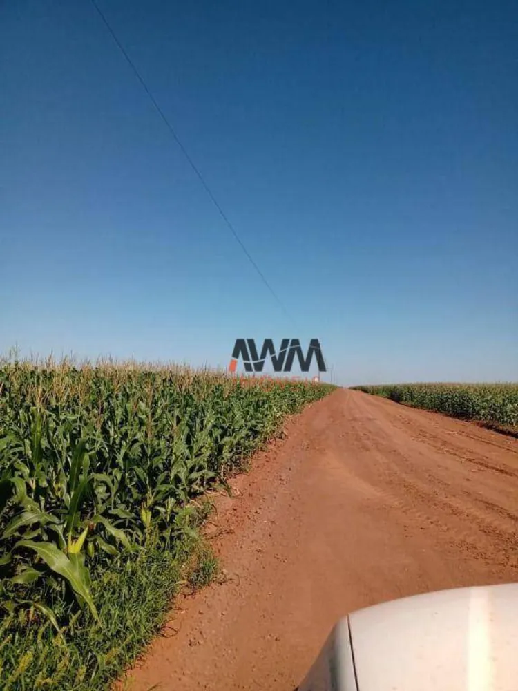 Fazenda, 4773 hectares - Foto 8