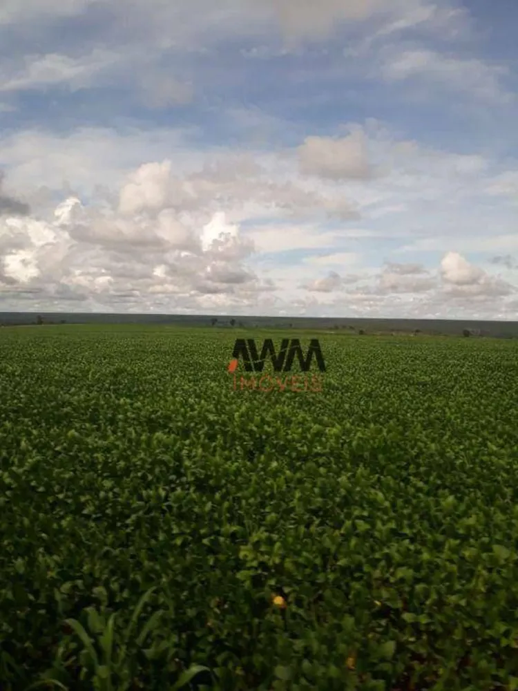 Fazenda, 4773 hectares - Foto 4