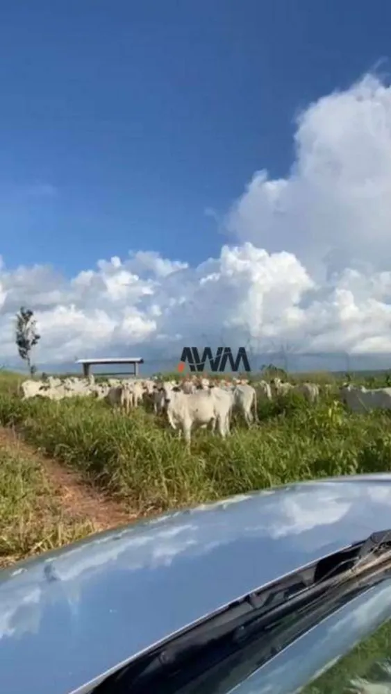 Fazenda, 1041 hectares - Foto 10