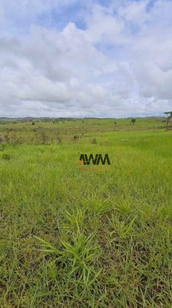 Fazenda, 1041 hectares - Foto 4