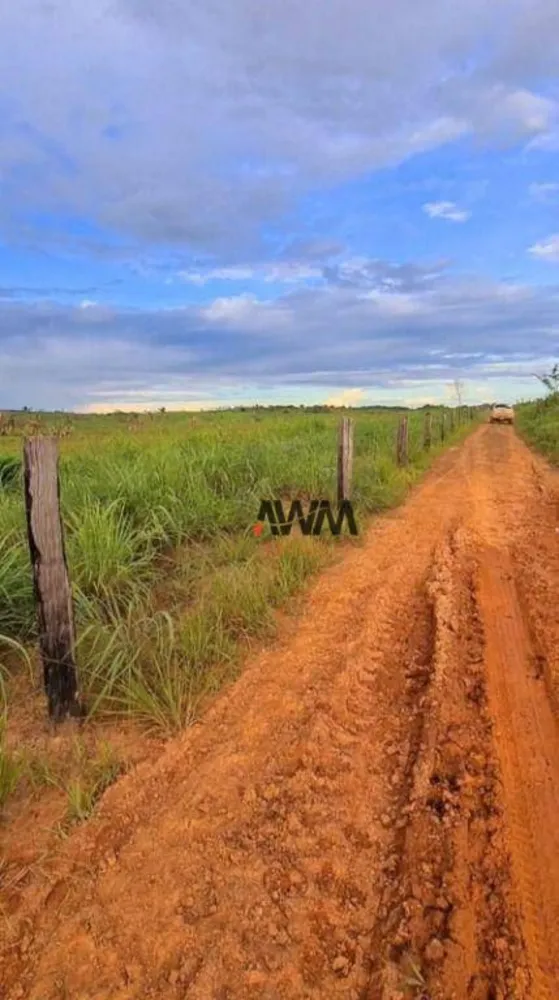 Fazenda, 1041 hectares - Foto 16