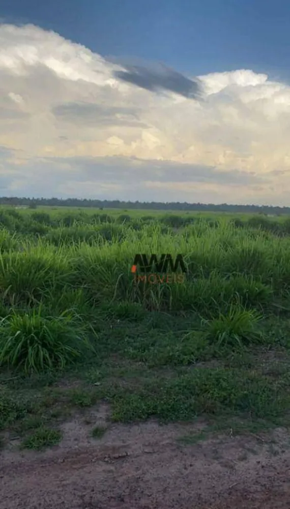 Fazenda, 1041 hectares - Foto 13