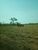 Fazenda, 7200 hectares - Foto 2
